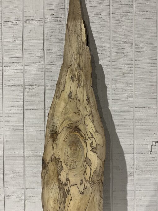 Spalted Sycamore