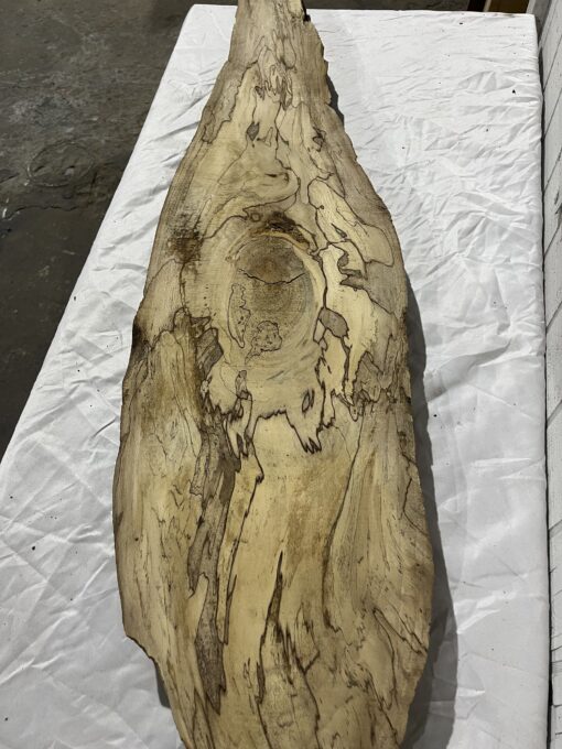 Spalted Sycamore