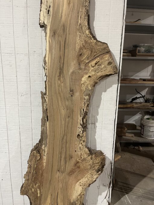 Spalted Laurel Oak