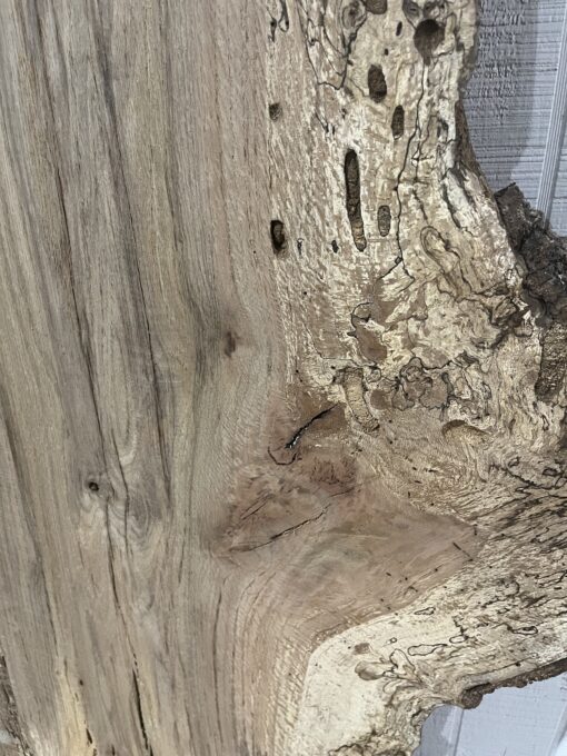 Spalted Laurel Oak