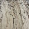 spalted sycamore