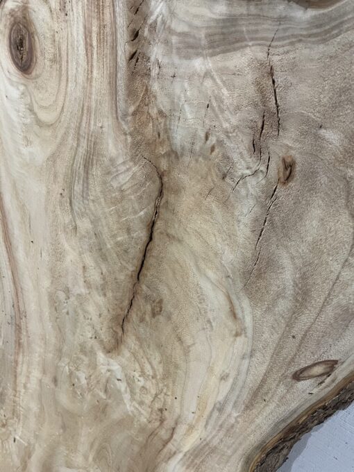 Live Edge Camphor